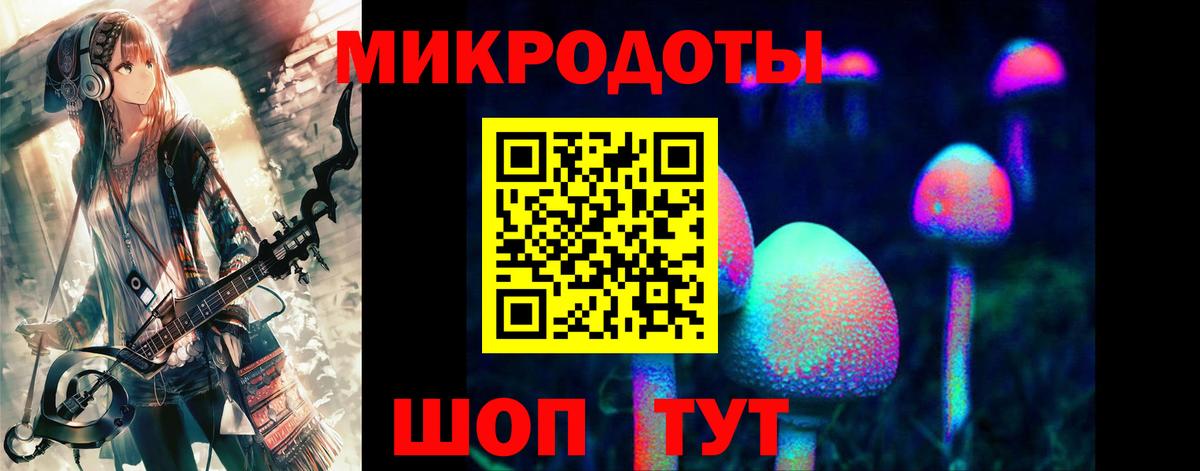 Шарыпово  Галлюциногенные грибы Psilocybine cubensis  Вход с VPN 