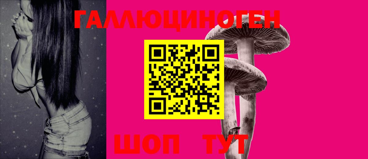 Псилоцибиновые грибы Psilocybe Шарыпово
